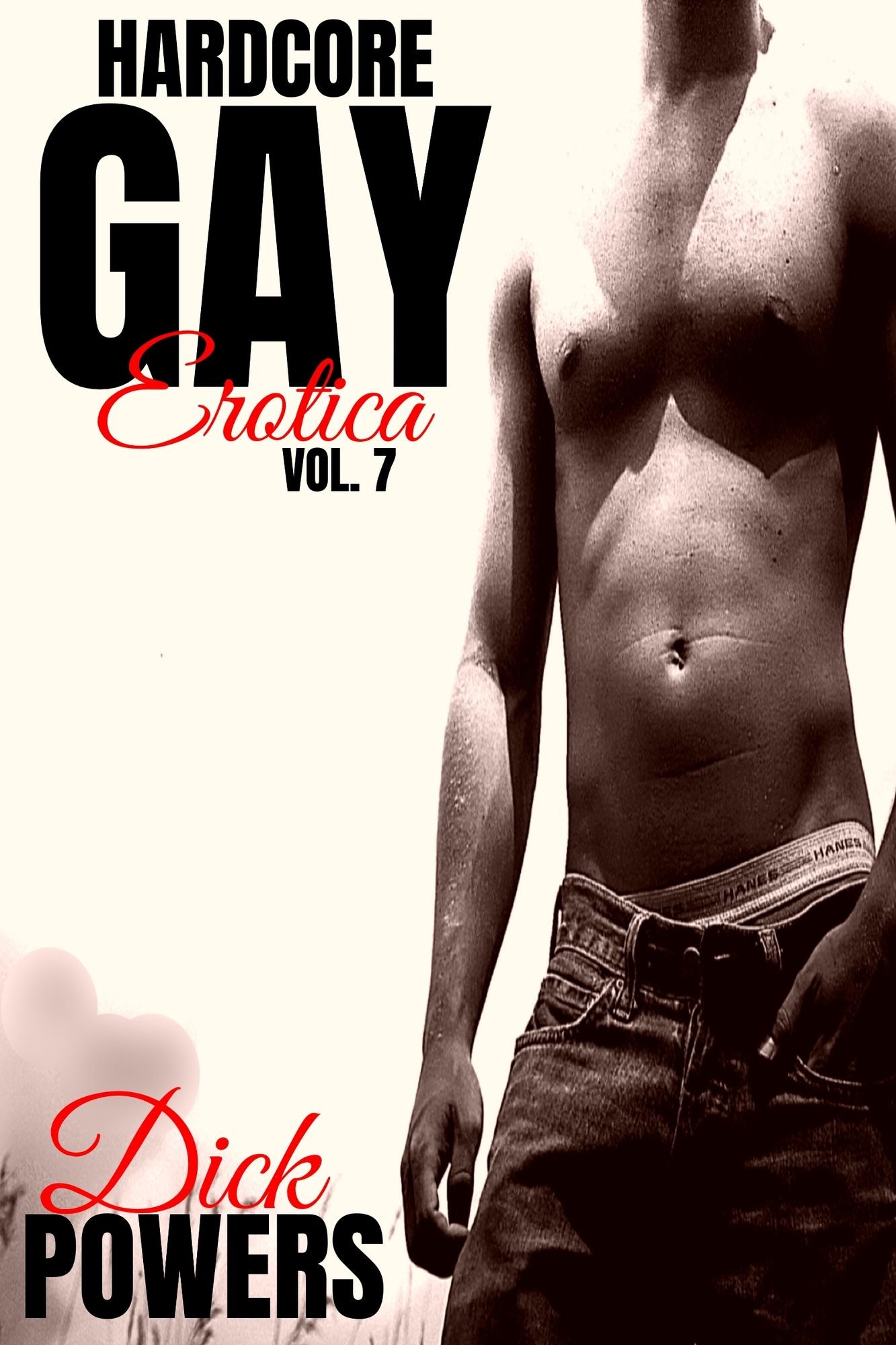 Hard Gay XXX: The Total Package Two (8 x Stories)