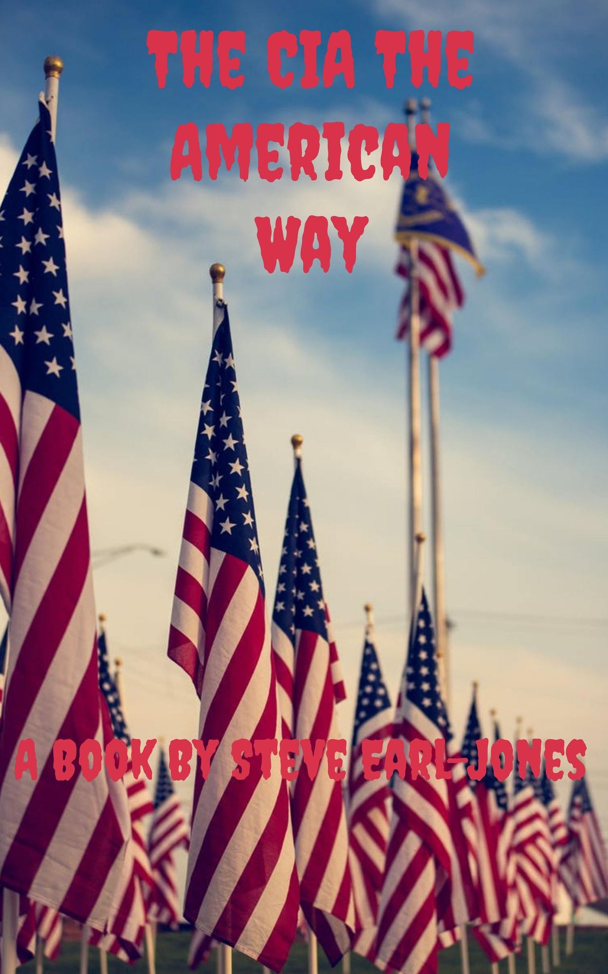 The CIA The American Way