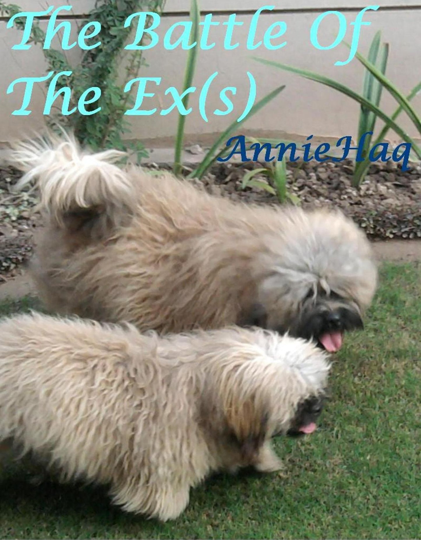 The Battle Of The Ex(s)- A tale of confusion