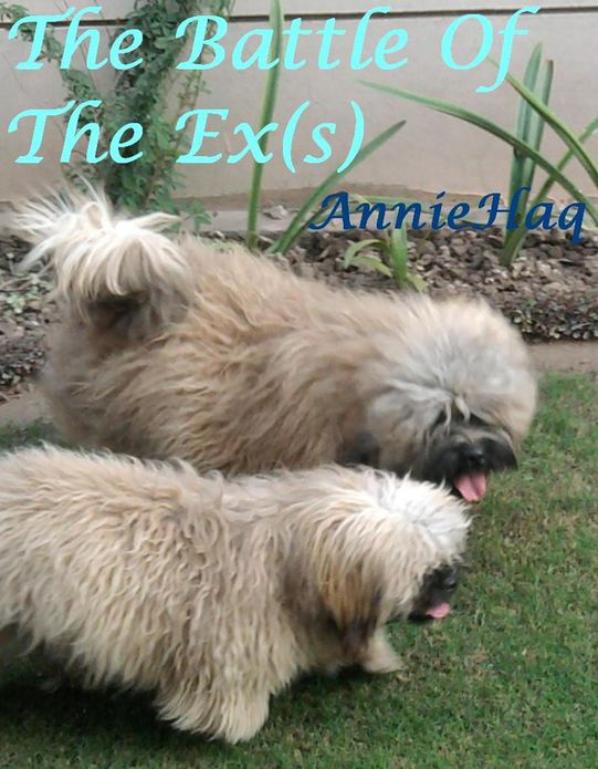 The Battle Of The Ex(s)- A tale of confusion