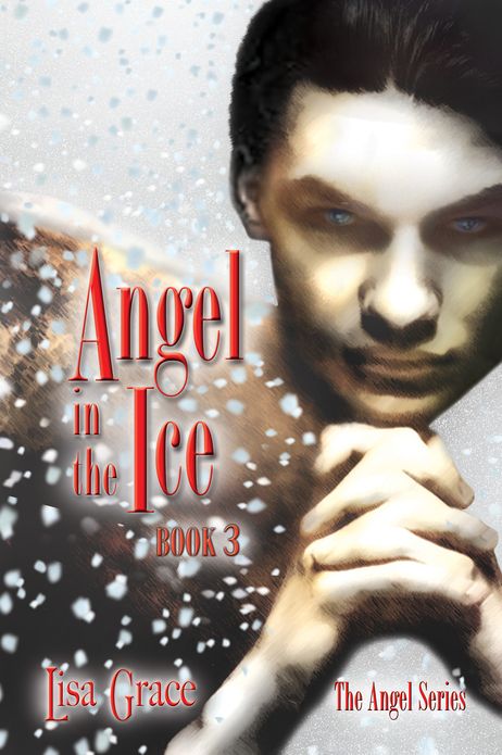 Angel in the Ice, Book 3 by Lisa Grace (Angel Series)