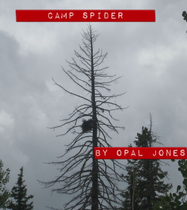 Camp Spider