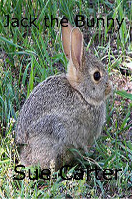 Jack the Bunny