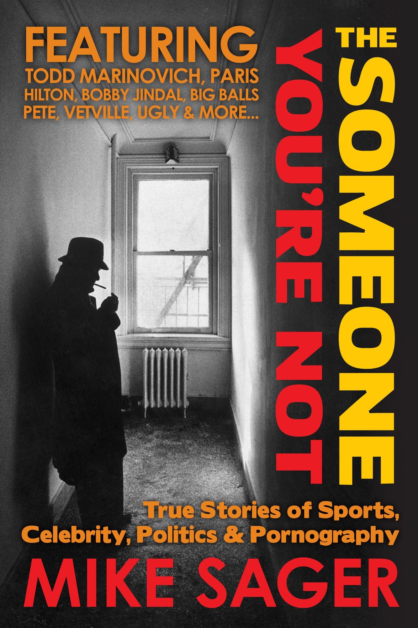 The Someone You're Not: True Stories of Sports, Celebrity, Politics & Pornography
