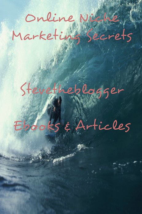 Online Niche Marketing Secrets