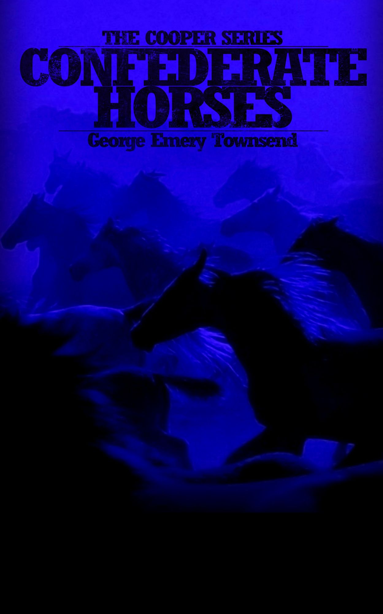 Confederate Horses