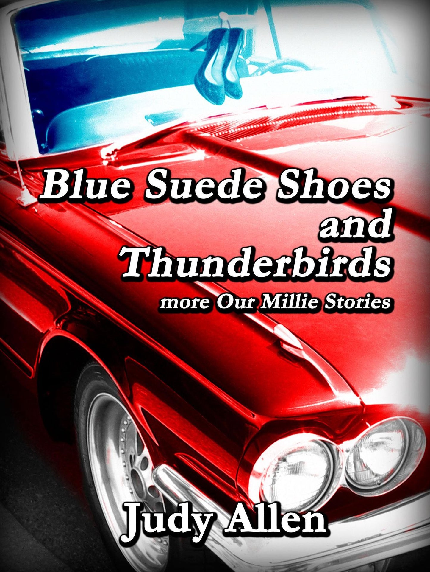 Blue Suede Shoes and the Thunderbirds - more Our Millie Stories