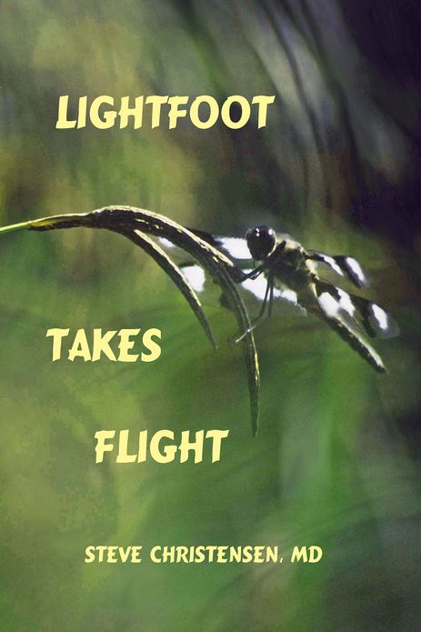 Lightfoot Takes Flight