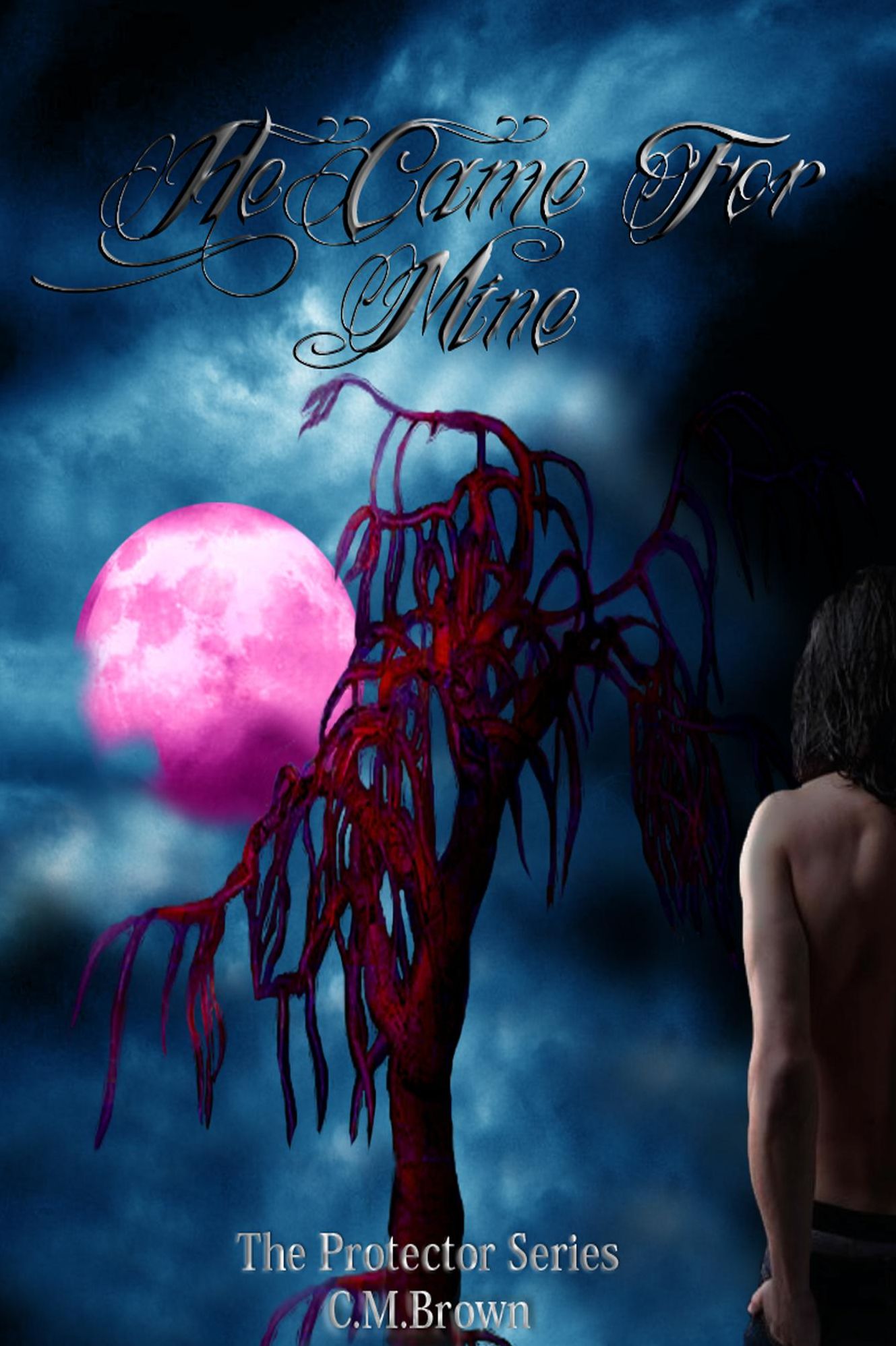 He Came For Mine, Book Two in 'The Protector Series'
