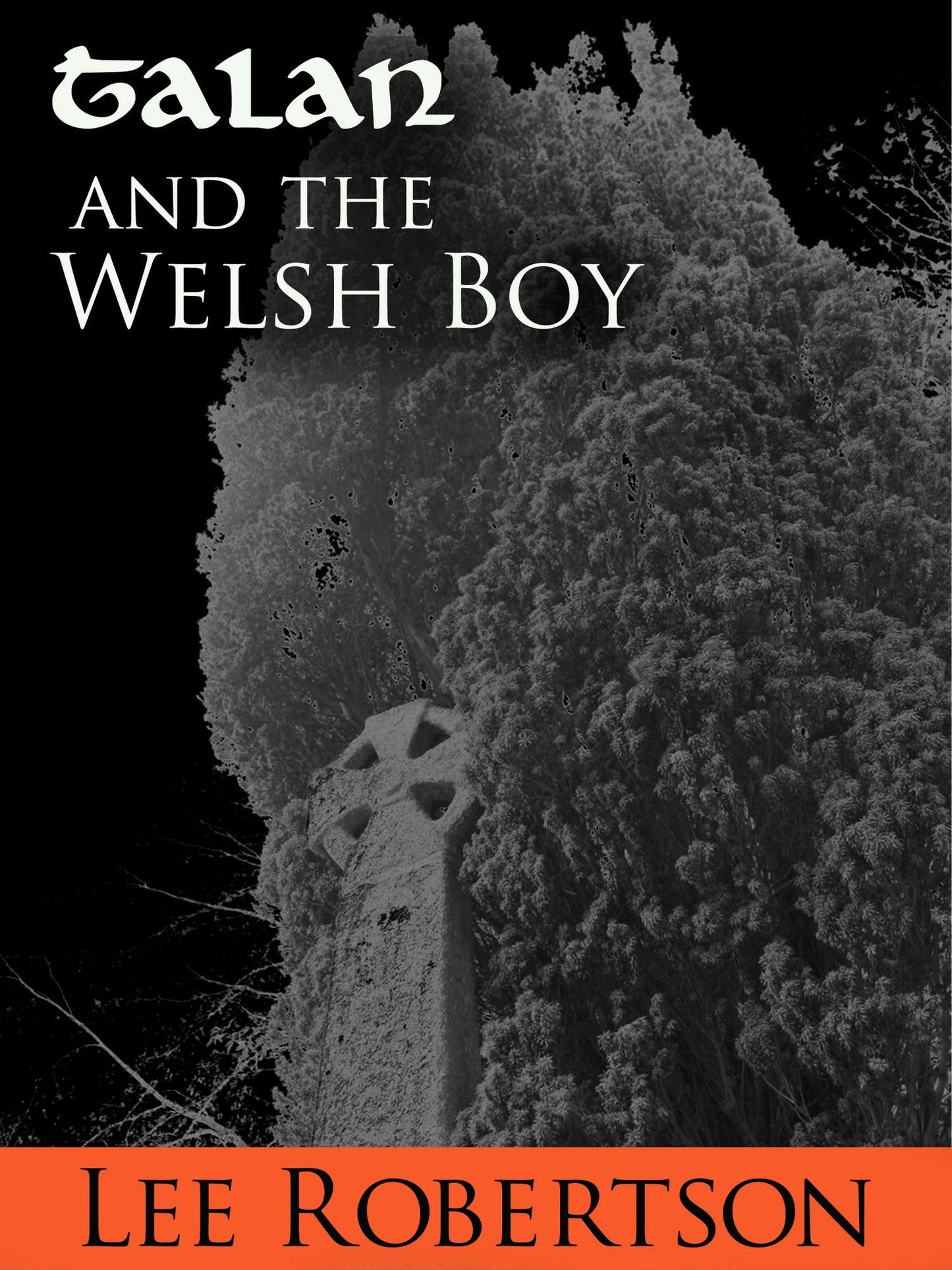 Talan and the Welsh Boy