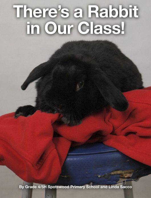 There's a Rabbit in Our Class!