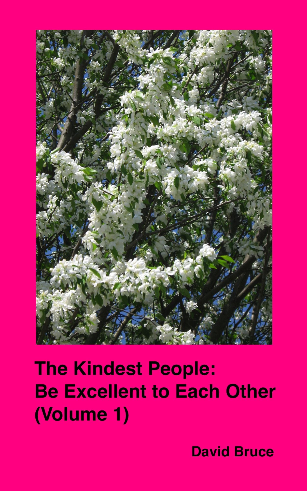 The Kindest People: Be Excellent to Each Other (Volume 1)