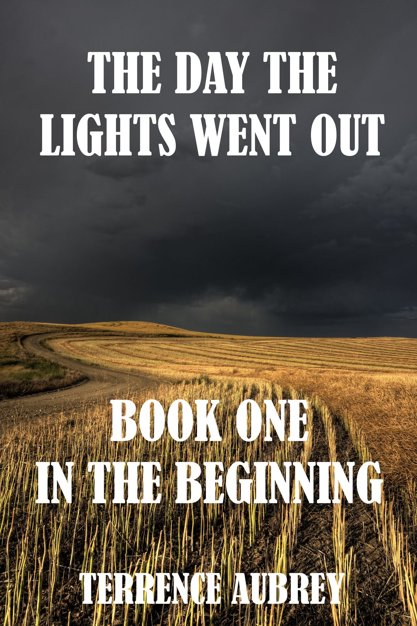 The Day The Lights Went Out: In The Beginning