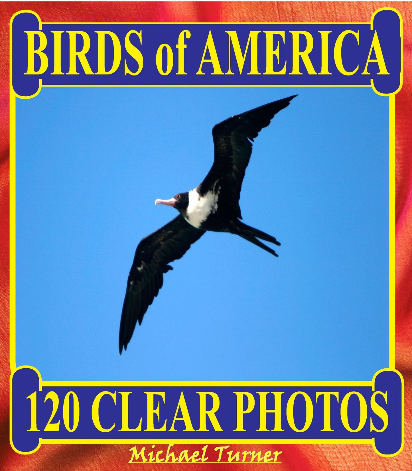 Birds of America. 120 Clear Photos.