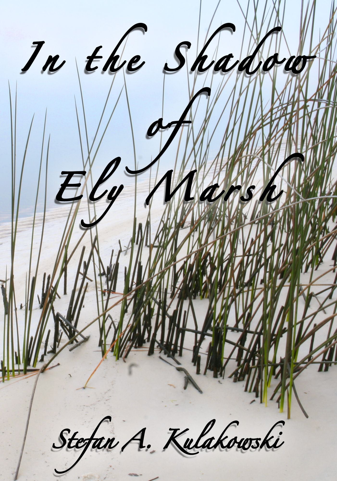 In the Shadow of Ely Marsh