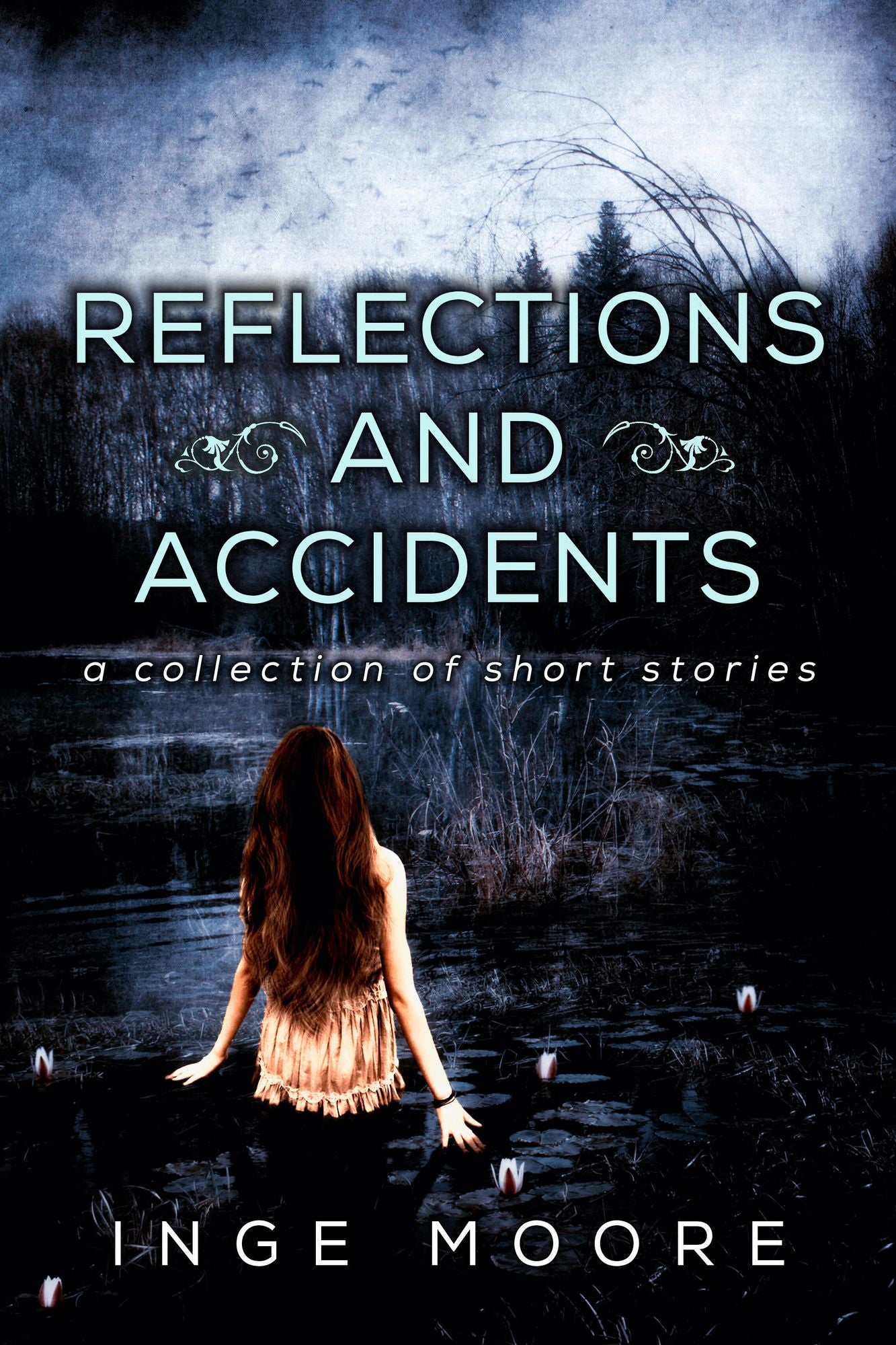 Reflections and Accidents, A Collection of Short Stories