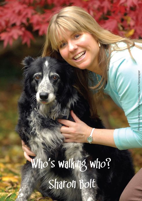 Who's Walking Who?