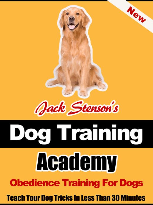 Dog Training Academy: Obedience Training For Dogs