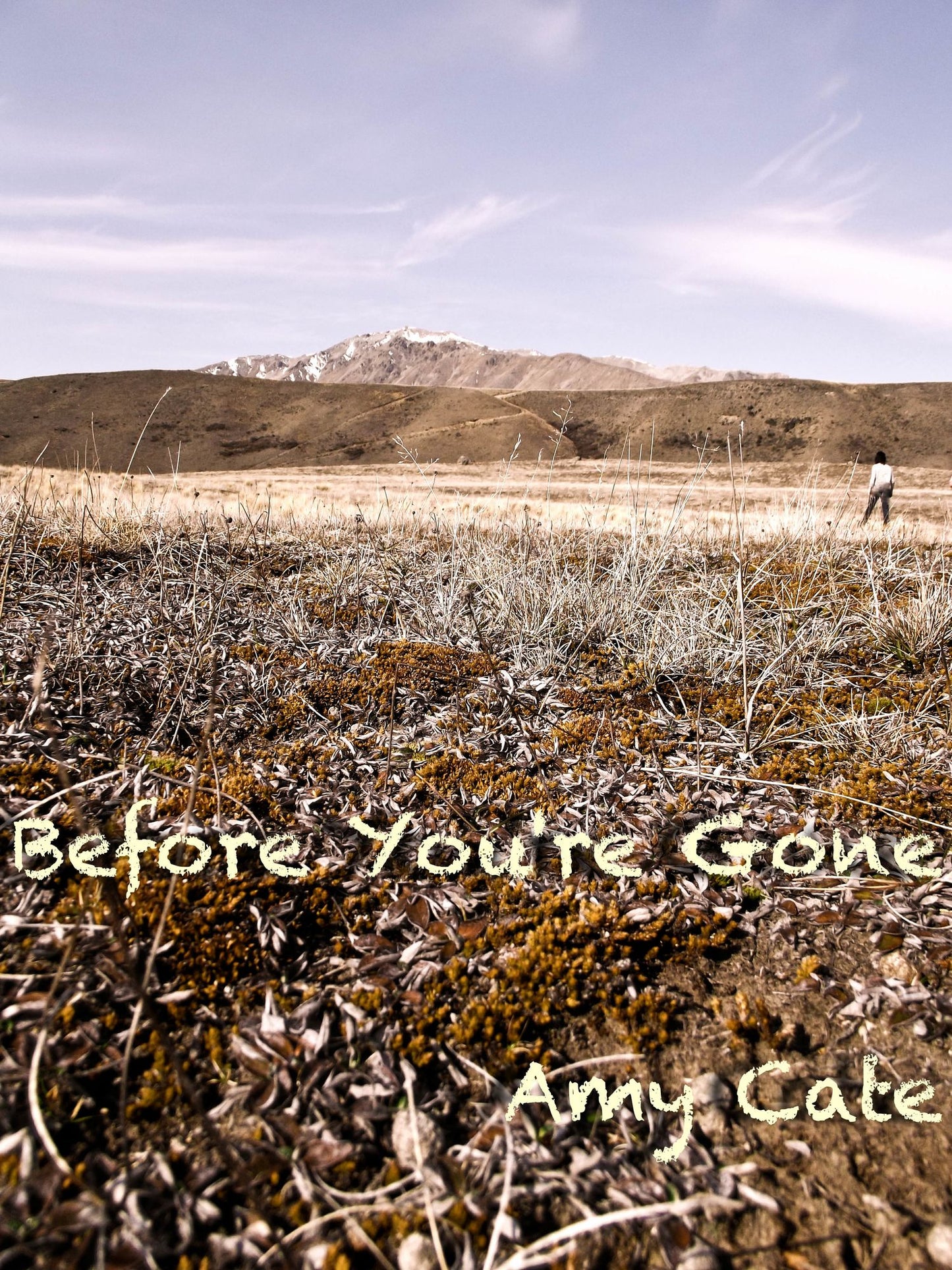 Before You're Gone, Book 1