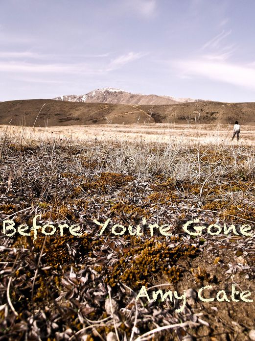 Before You're Gone, Book 1