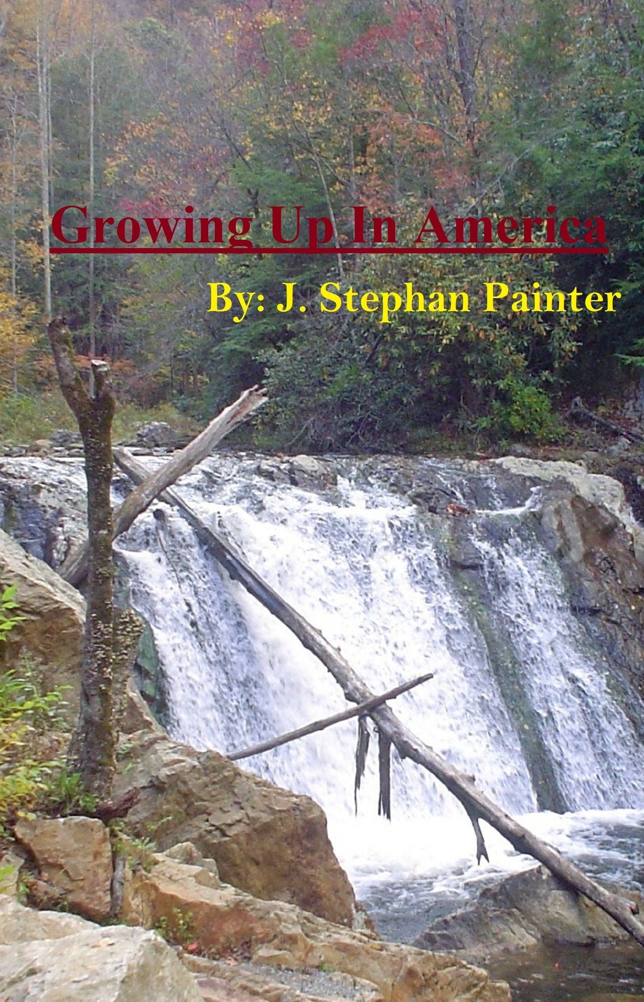 Growing Up In America