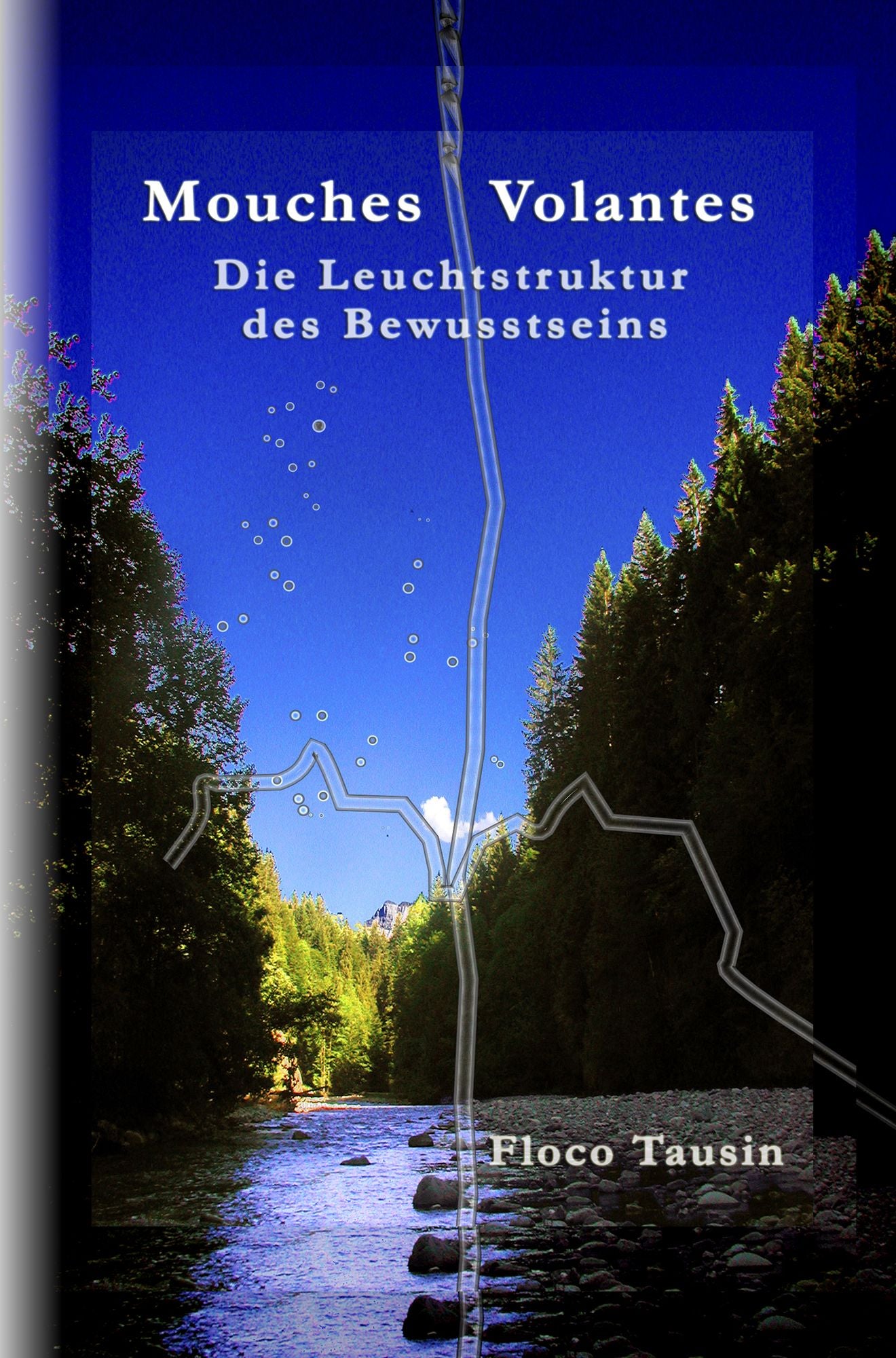 Mouches Volantes: Die Leuchtstruktur des Bewusstseins