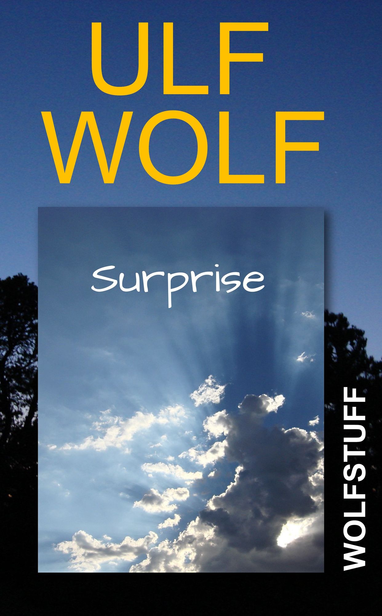 Anatomy of Surprise