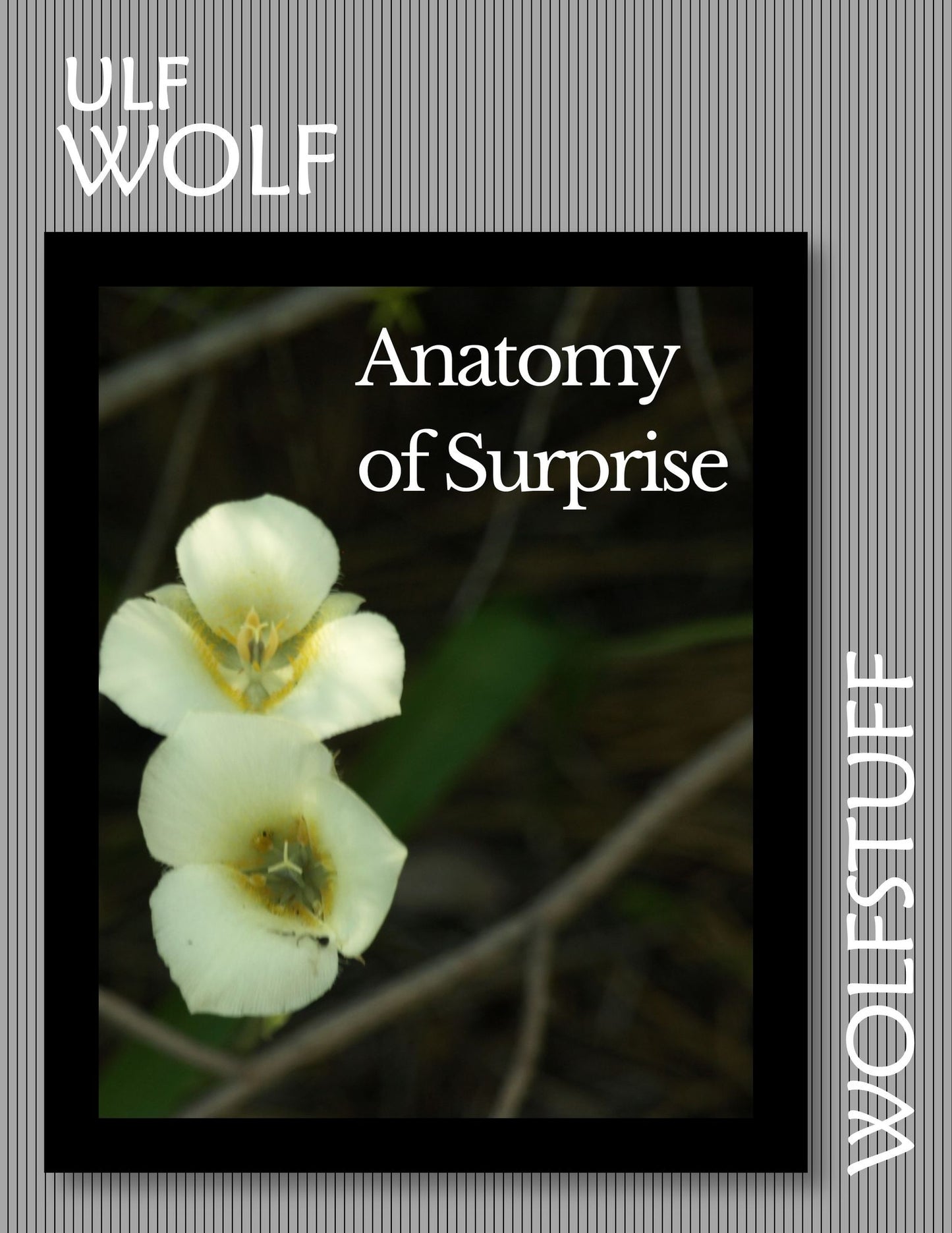 Anatomy of Surprise