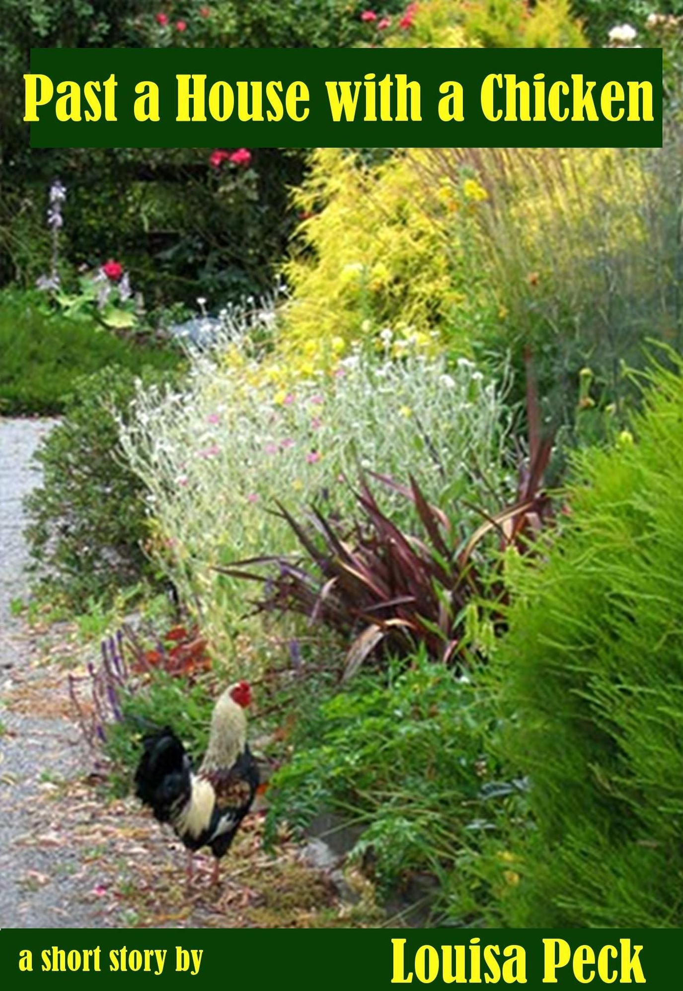 Past a House with a Chicken
