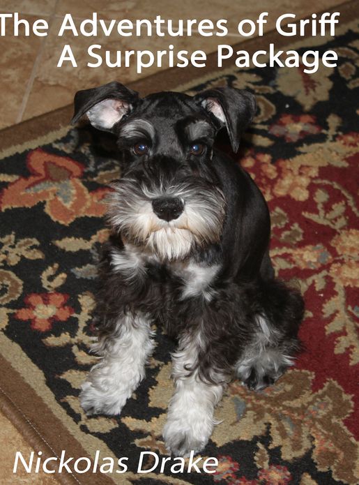 The Adventures of Griff: A Surprise Package