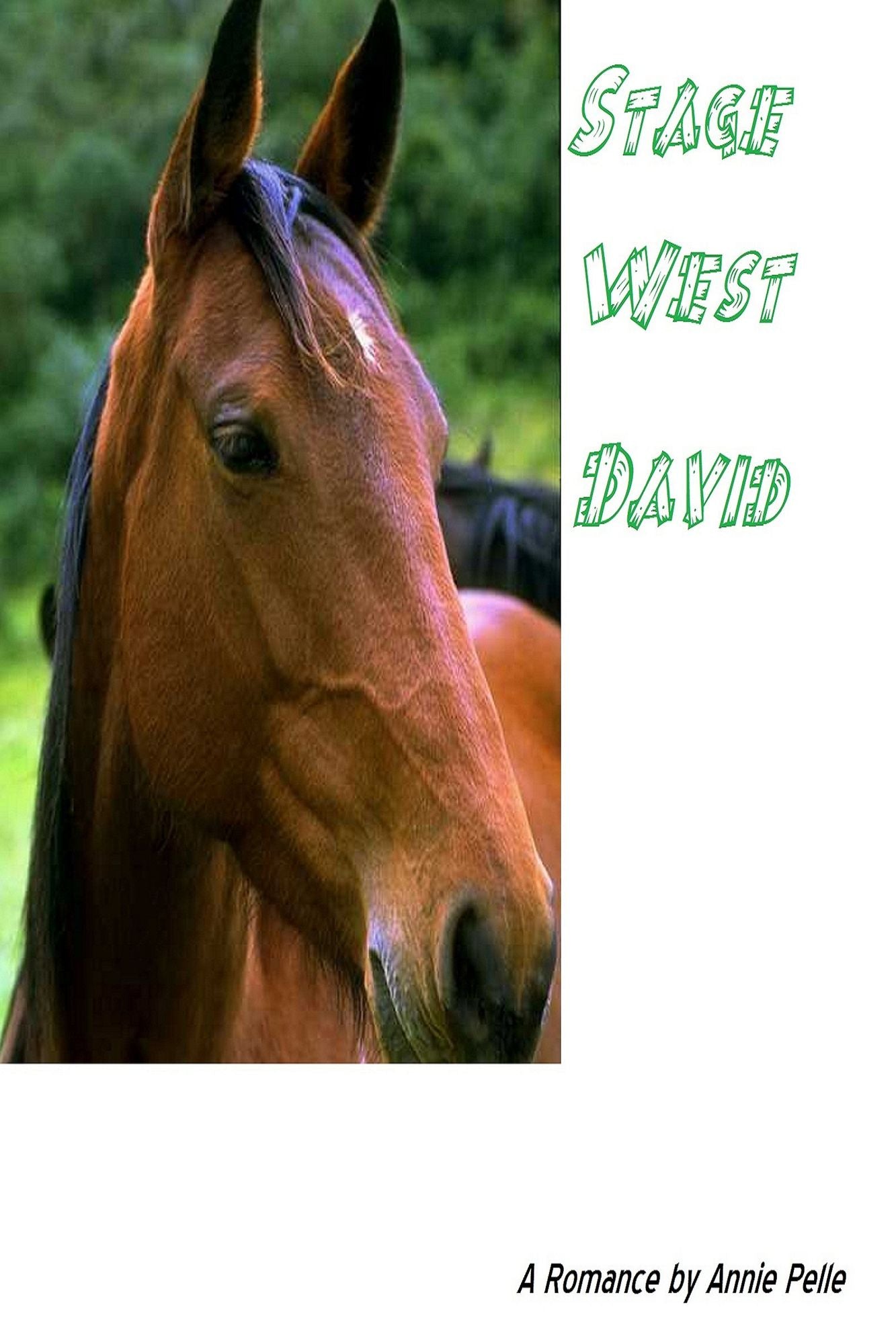 Stage West: David