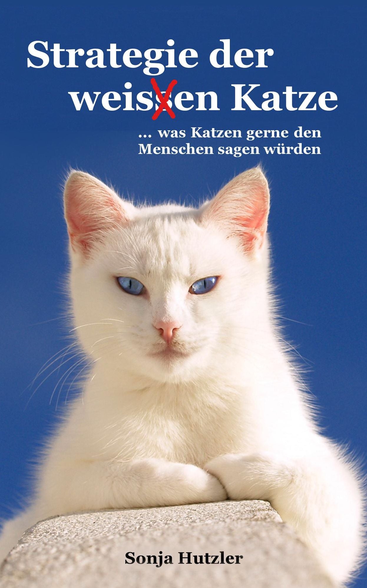 Strategie der weis(s)en Katze