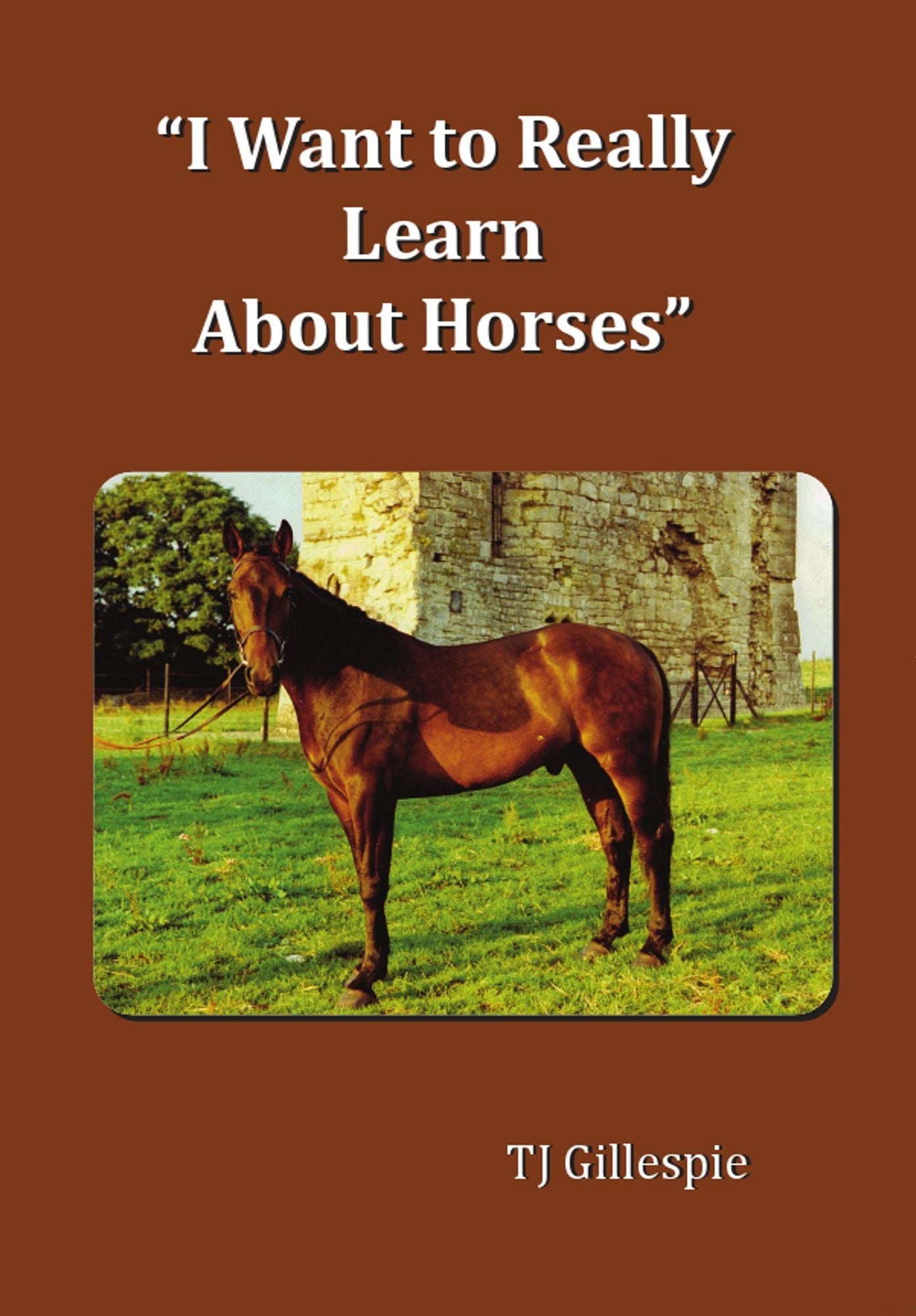 I Want to Really Learn about Horses