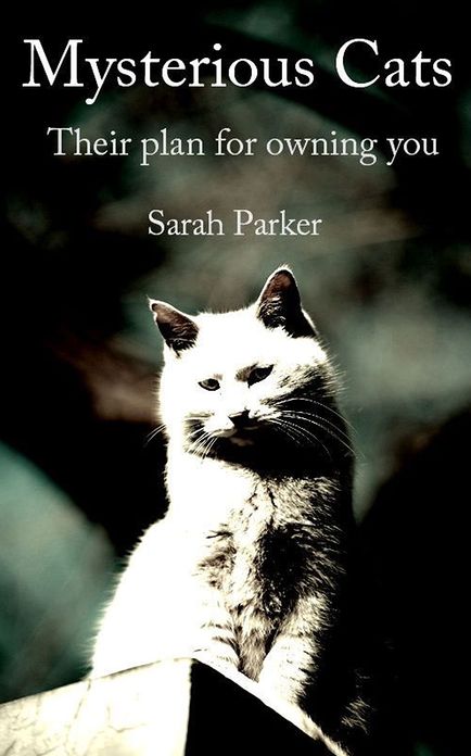 Mysterious Cats: Their plan to own you