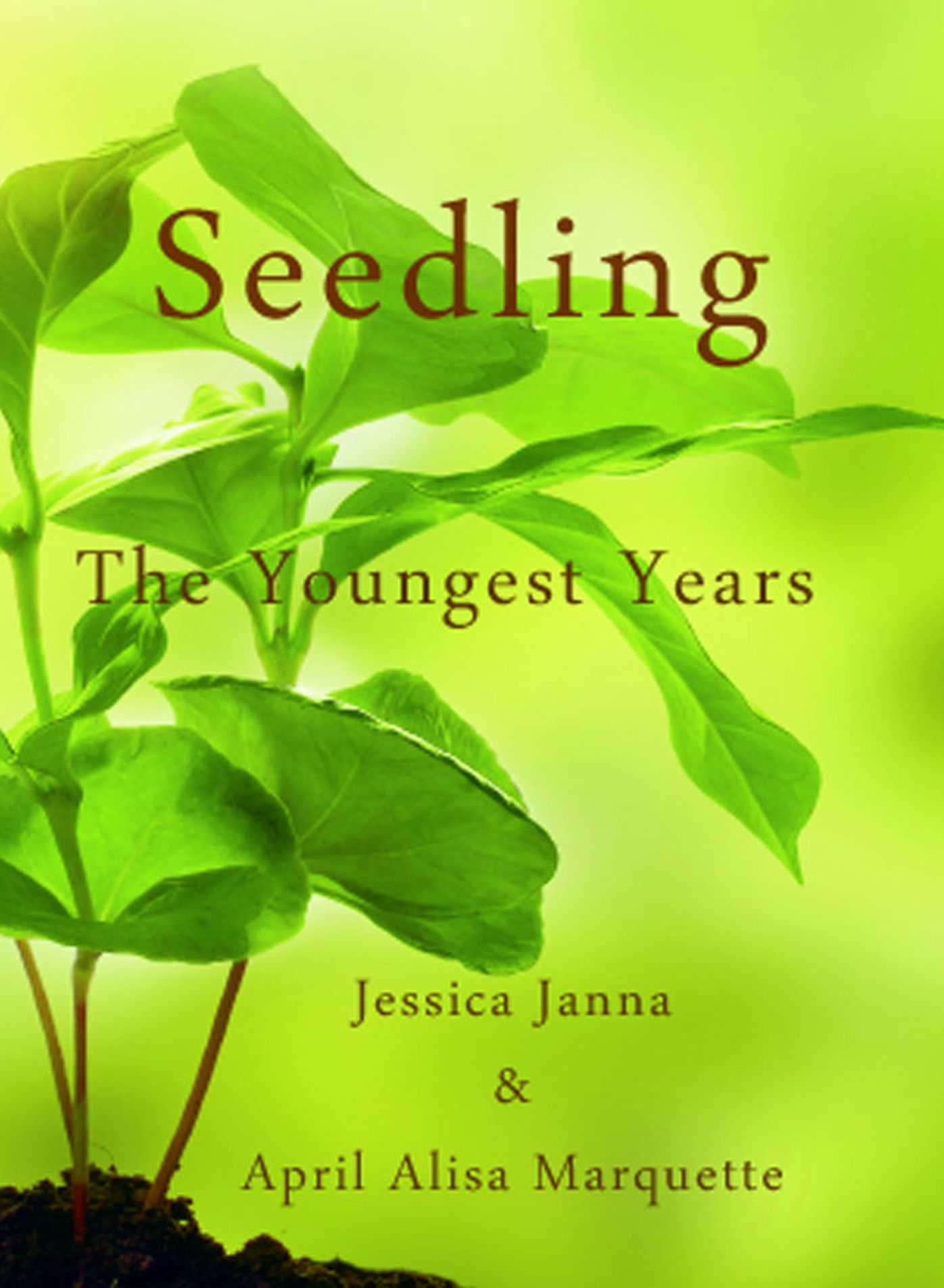 Seedling