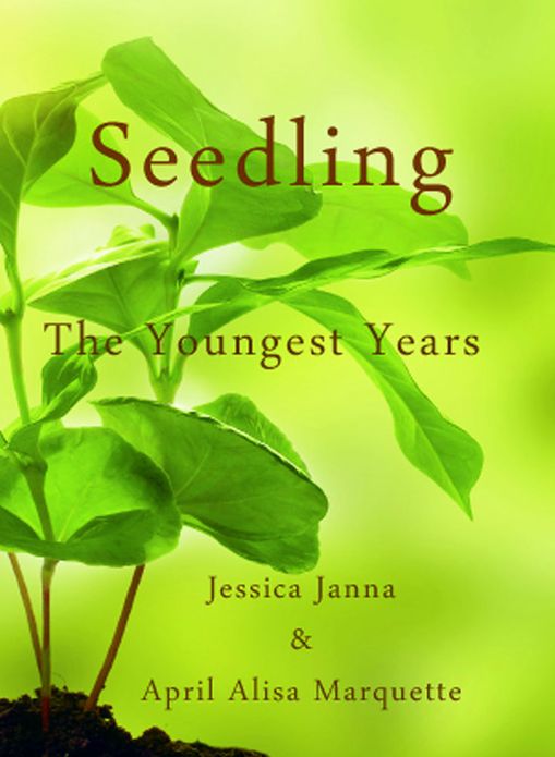 Seedling