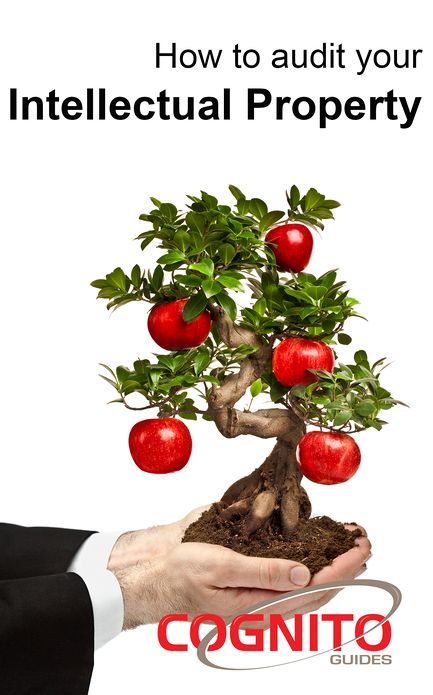 How to Audit your Intellectual Property (IP)