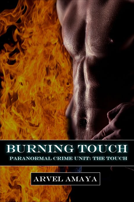 Burning Touch (Paranormal Crime Unit: The Touch #2)