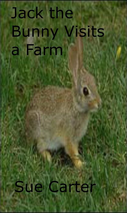 Jack the Bunny Visits a Farm