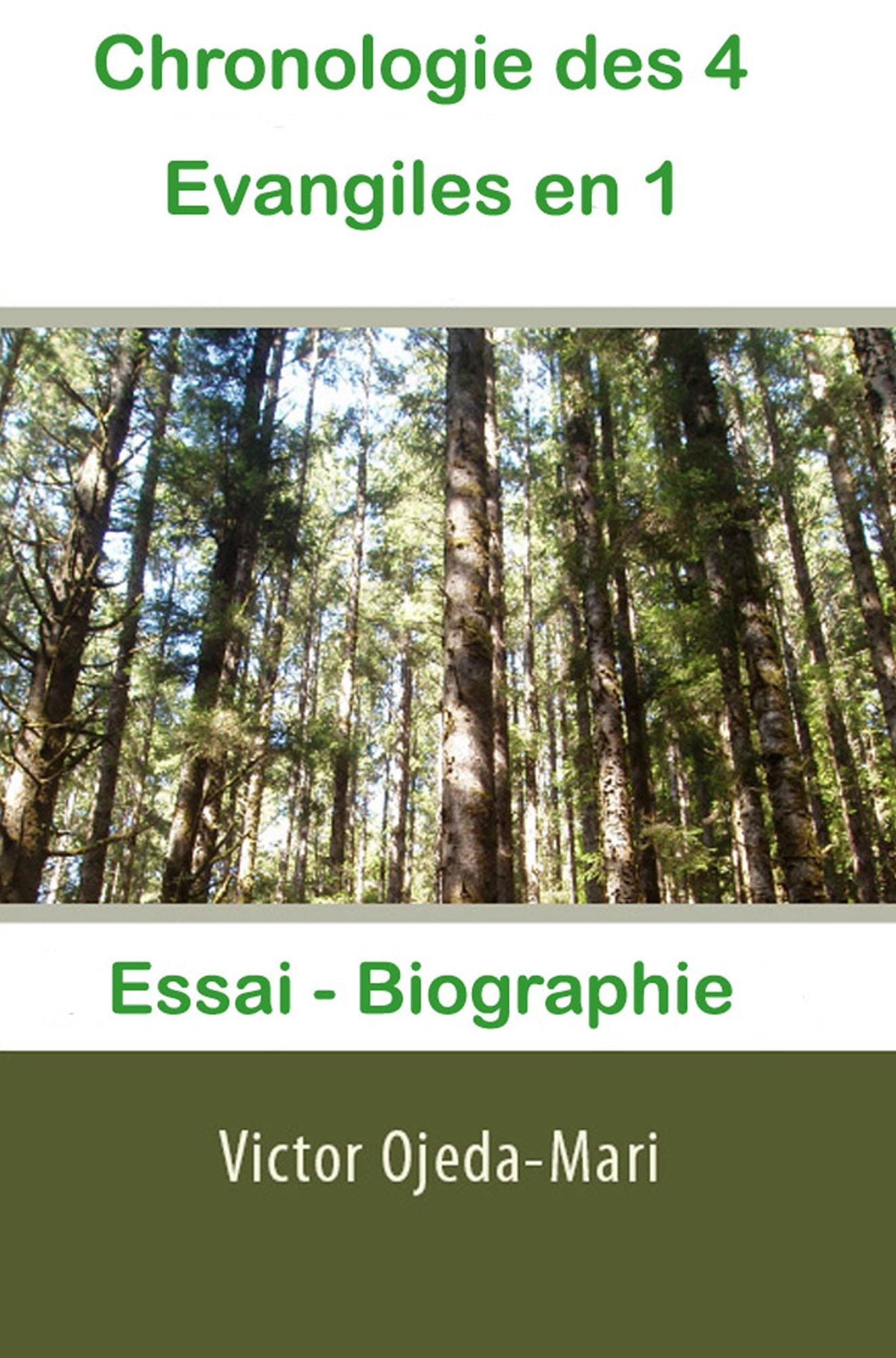 Chronologie des 4 Evangiles en 1: Essai