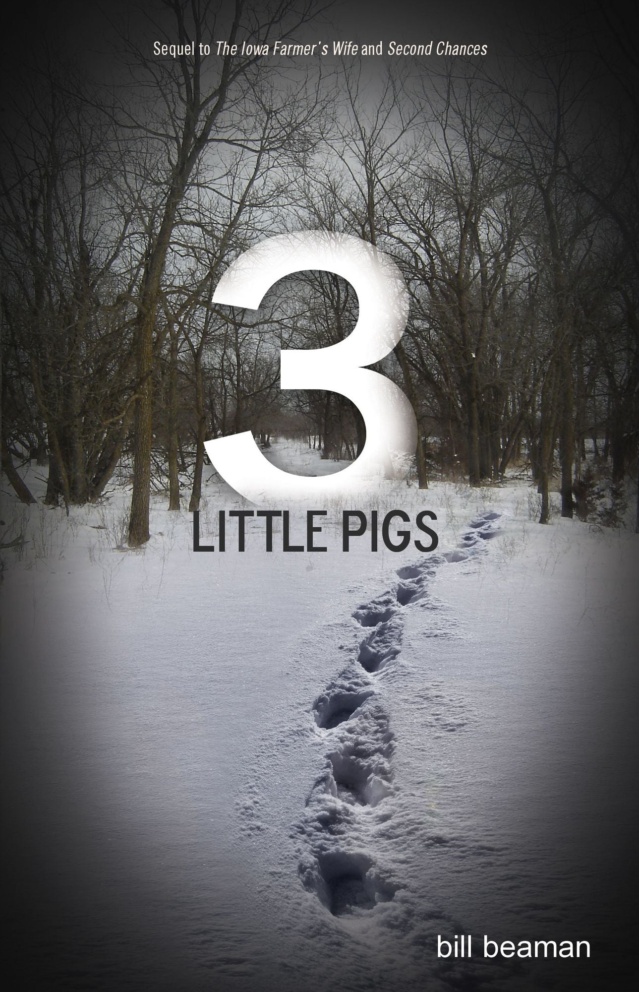 3 Little Pigs