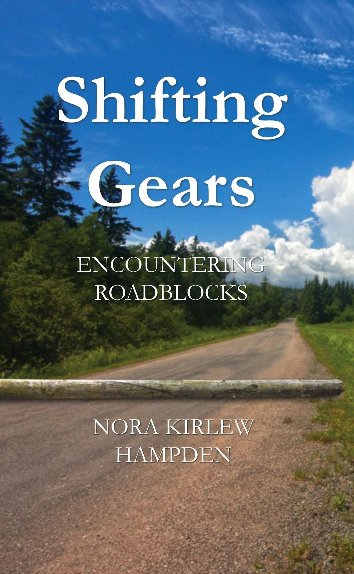 Shifting Gears: Encountering Roadblocks