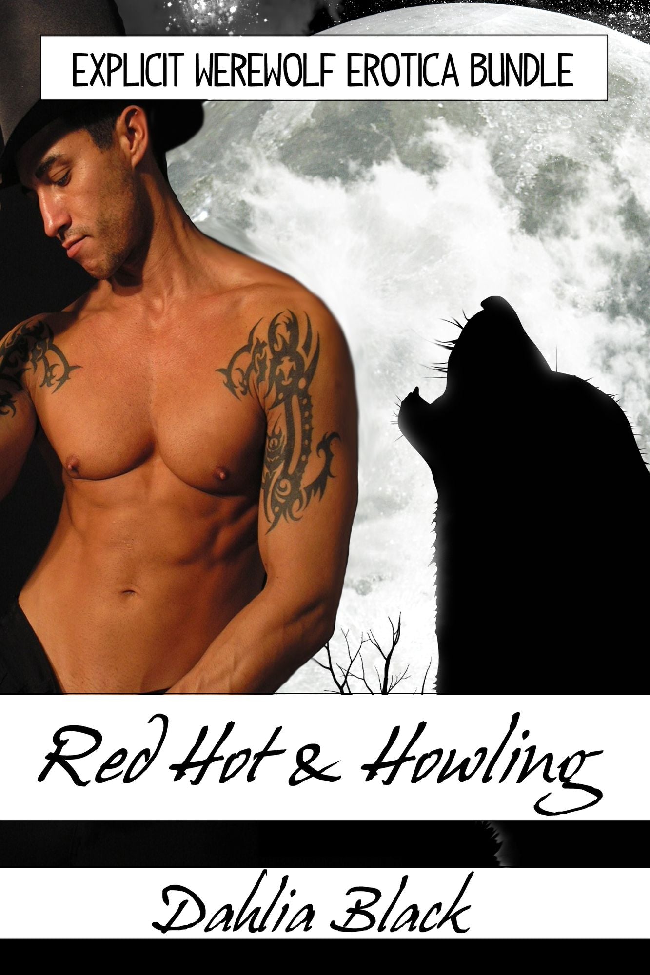 Red Hot & Howling: Explicit Werewolf Erotica Bundle