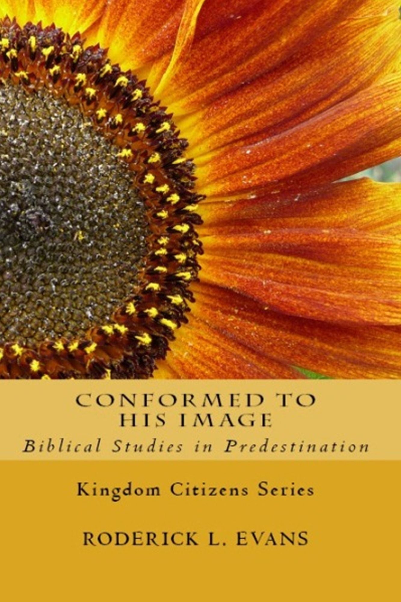 Conformed to His Image: Biblical Studies in Predestination