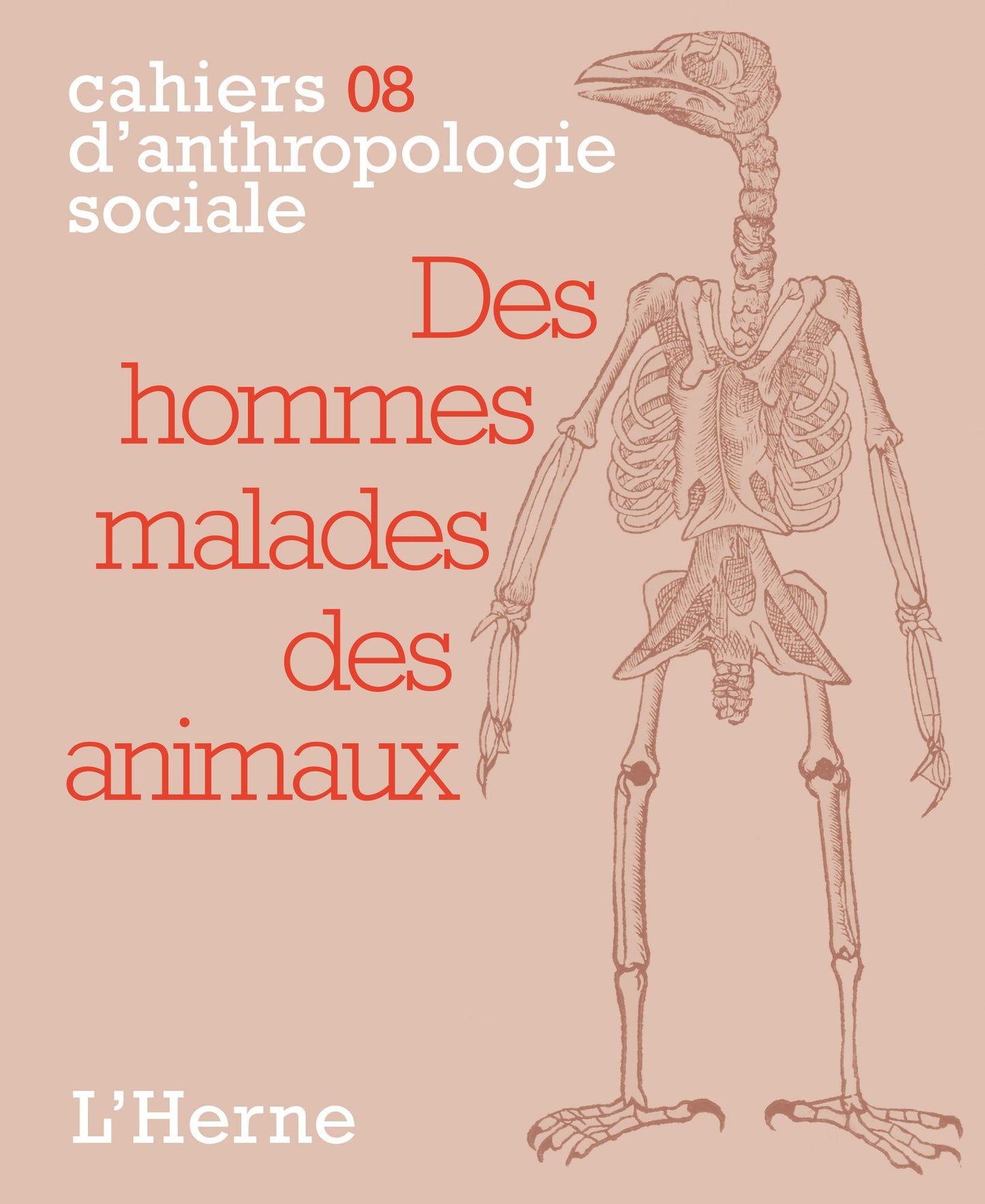 Des hommes malades des animaux
