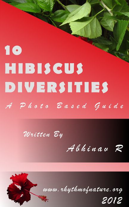 10 Hibiscus Diversities: A Photo Based Guide