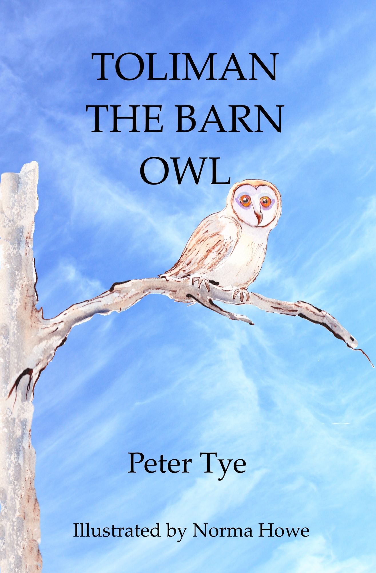 Toliman the Barn Owl