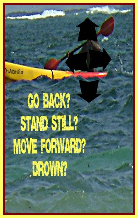 Go Back? Stand Still? Move Forward? Drown?