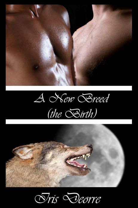 The Birth