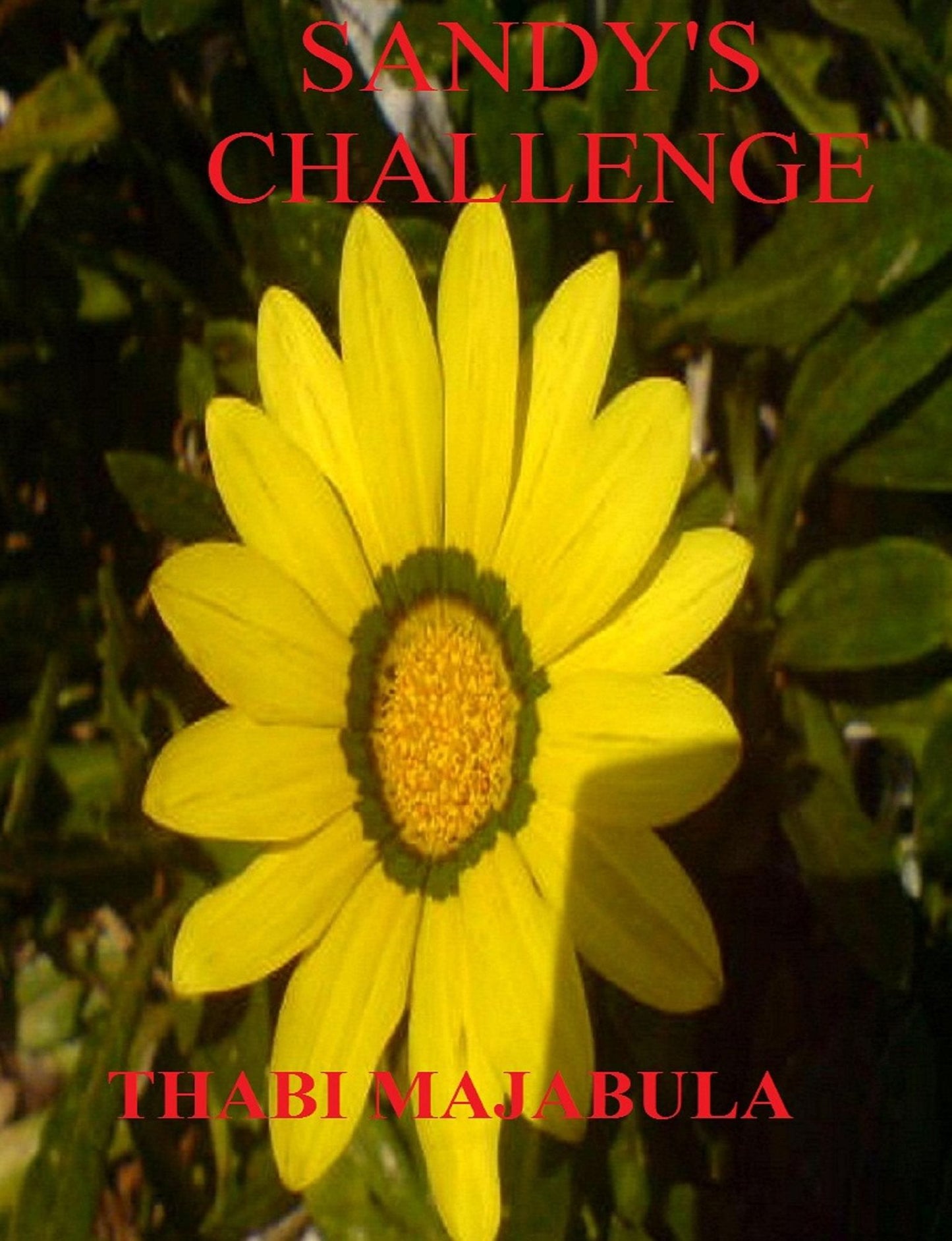 Sandy's Challenge